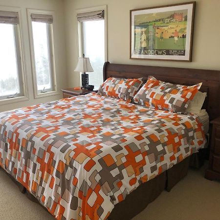 South Brook The Thoughtful Dog Bed & Breakfast מראה חיצוני תמונה
