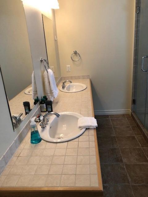 South Brook The Thoughtful Dog Bed & Breakfast מראה חיצוני תמונה