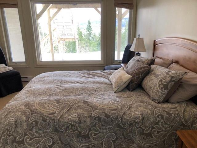 South Brook The Thoughtful Dog Bed & Breakfast מראה חיצוני תמונה